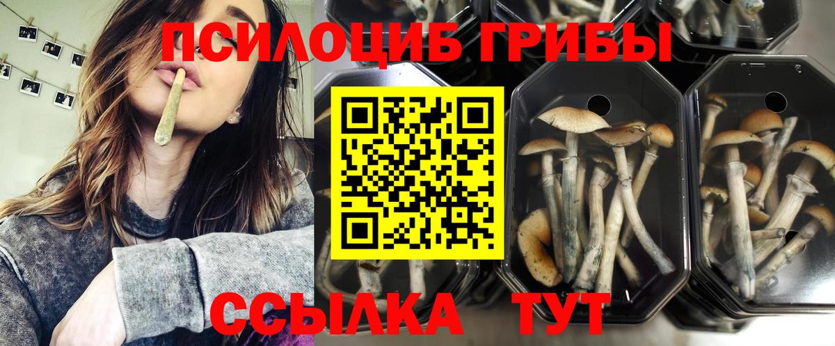 Галлюциногенные грибы Magic Shrooms  Вход с VPN  Галлюциногенные грибы Magic Shrooms  Новошахтинск 